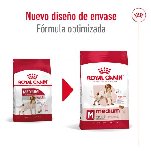 Royal canin 2024 adult 4kg