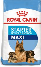 royal canin maxi starter mother & babydog