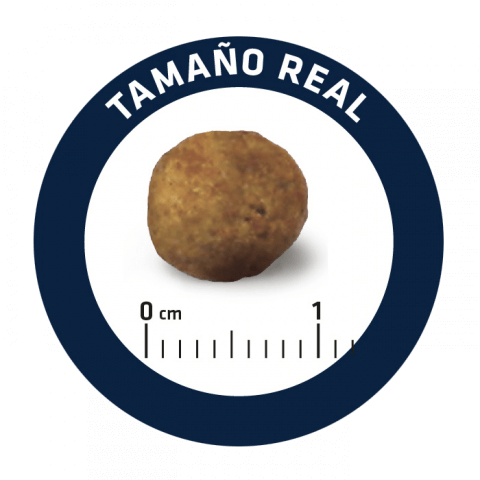 Advance Nourriture Gastroenteric Low Fat