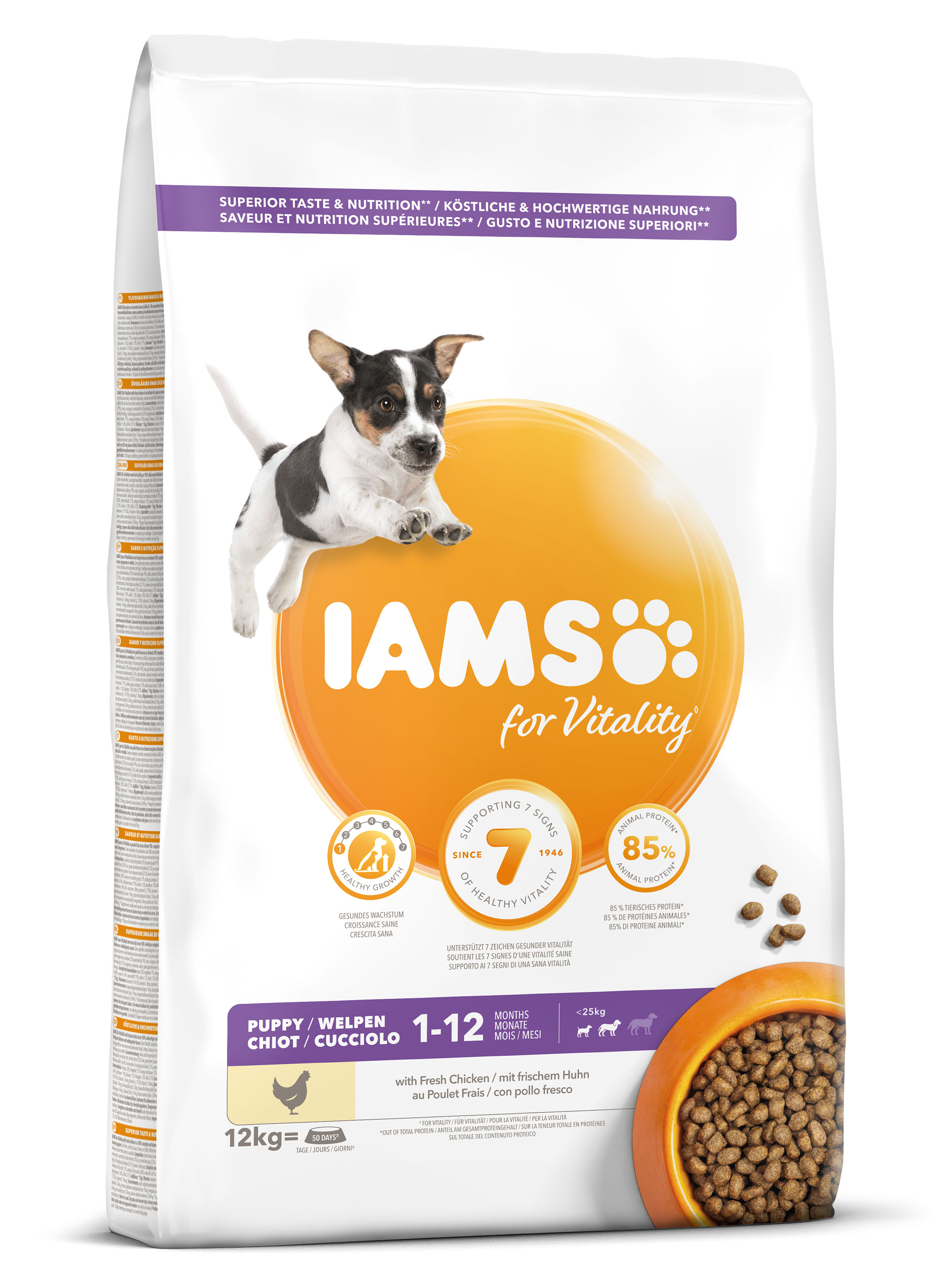 Miscota IAMS Cibo Secco Puppe and Junior Pro Active Medium Breed Ricco di Pollo