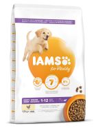 iams junior