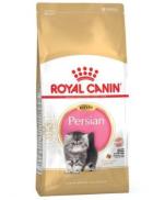 persian royal canin kitten