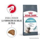 Royal Canin Cibo Secco per Gatti Hairball Care 10 KG