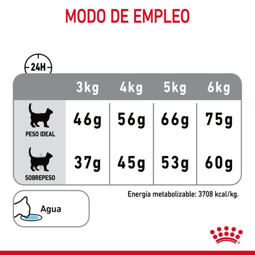 Oral royal outlet canin