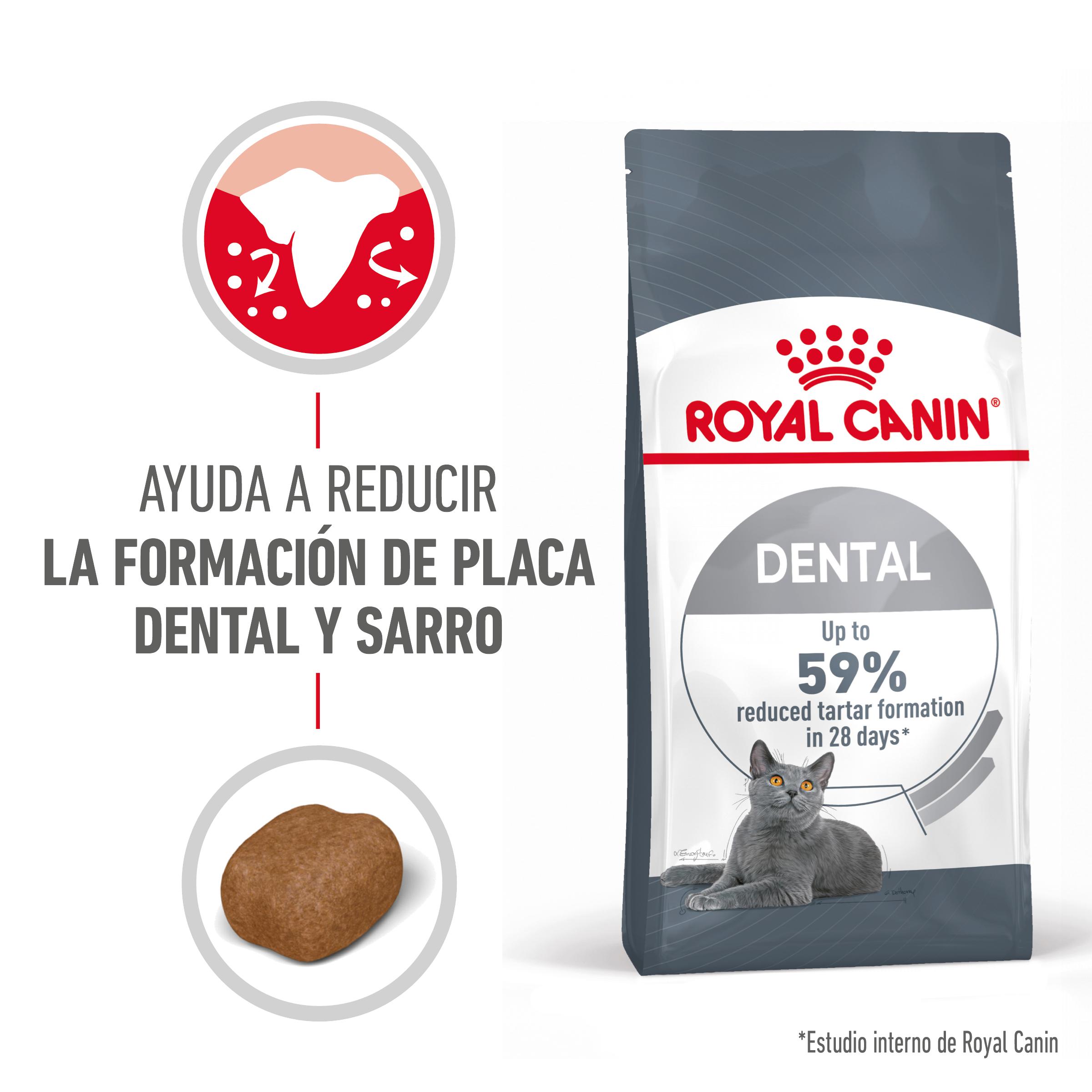 Royal Canin Dental Care 8 kg | €68,50