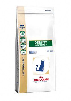 Royal Canin Cibo Secco per Gatti Obesite Management Feline