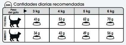 royal canin digestive comfort