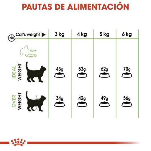 royal canin digestive comfort