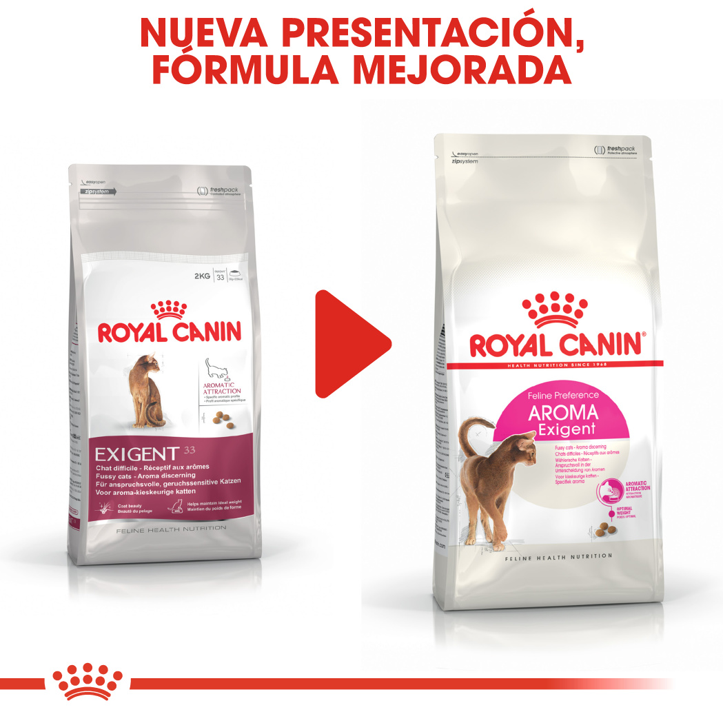 Royal Canin Fussy Exigent Para Gatos - Pack Doble 2x400g - Alto En Proteínas (40%), Para Gatos Muy Selectivos