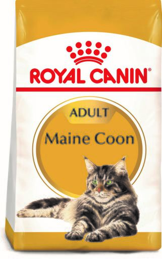 royal canin kitten maine coon 10kg