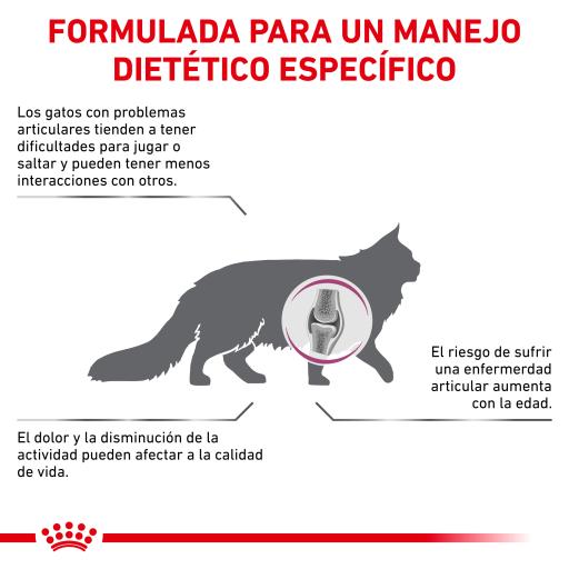 royal canin cat mobility