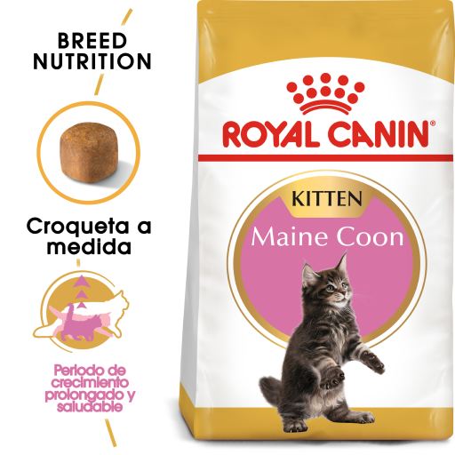 Royal Canin Cibo Secco per Gatti Kitten Maine Coon 36