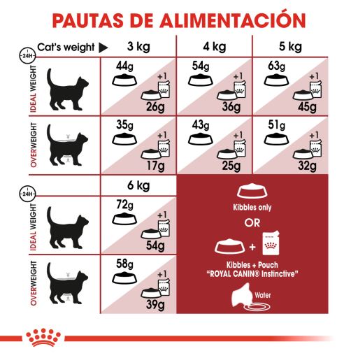 royal canin fit cat food