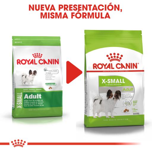 royal canin xsmall adult dog food