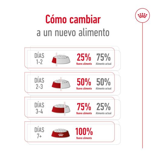 Ração Royal Canin X-Small Ageing 12+ 1kg - sosracoes