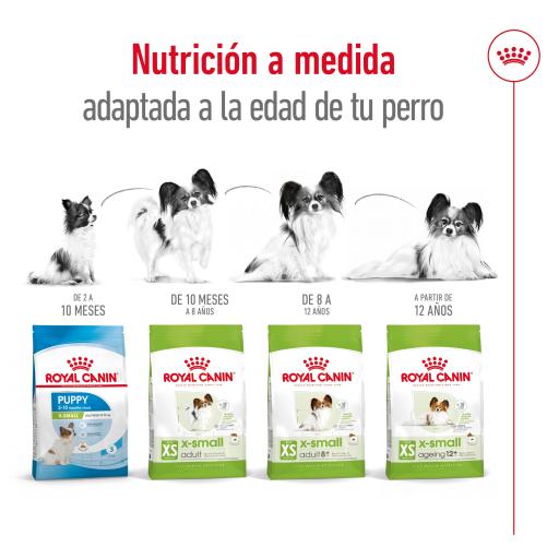 Ração Royal Canin X-Small Ageing 12+ 1kg - sosracoes