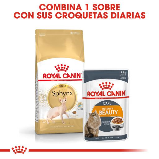 royal canin sphynx 33