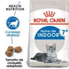 Indoor +7 400 GR