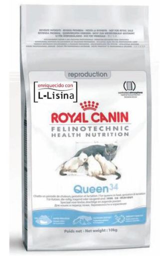 Royal Canin Cibo Secco per Gatti Queen 34