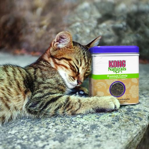 KONG Naturals Premium Catnip 2 Onces - Miscota France
