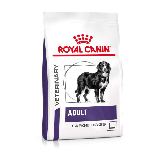 Royal Canin Cibo Secco per Cani Adult Large Dog