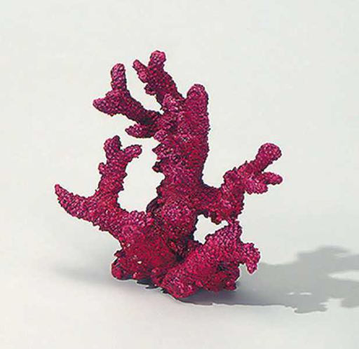 Decor Finger-Corallo Rosso 23 Cm.