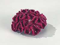 Decor Coral Rose-Red 8 Cm