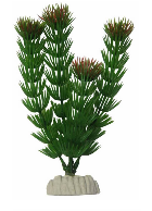 Planta Decorativa AP-006 Miriophyllium
