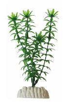 Planta 20 cm Ap-012 Elodea
