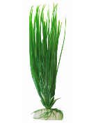 Pflanze 25 cm Ap-016 Haargras