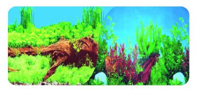 Doppel Aquarium Poster 30Cm Pflanzen