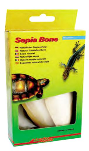Rep Sepia Bone
