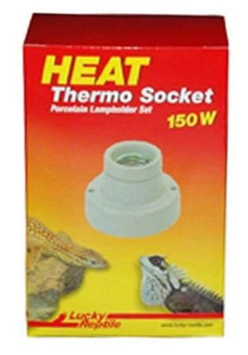 Rep Thermo Sockel Recto