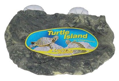 Reptilienschildkröteninsel