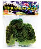 Plantes artificielles