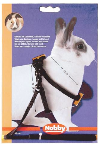 Harness + Collar Black Rabbit