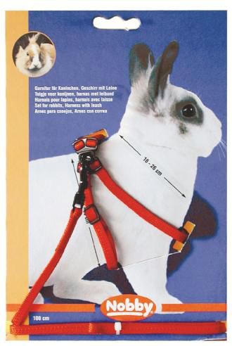 Harness + Collar Red Rabbit