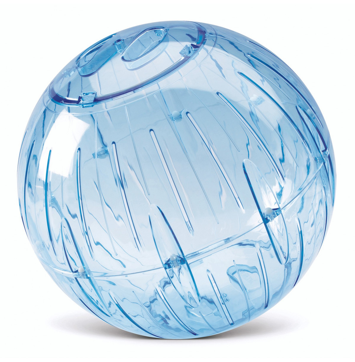 Palla Per Esercizi Savic Runner 25 Cm - Multicolore, Per Ratti E Furetti - Foto 9