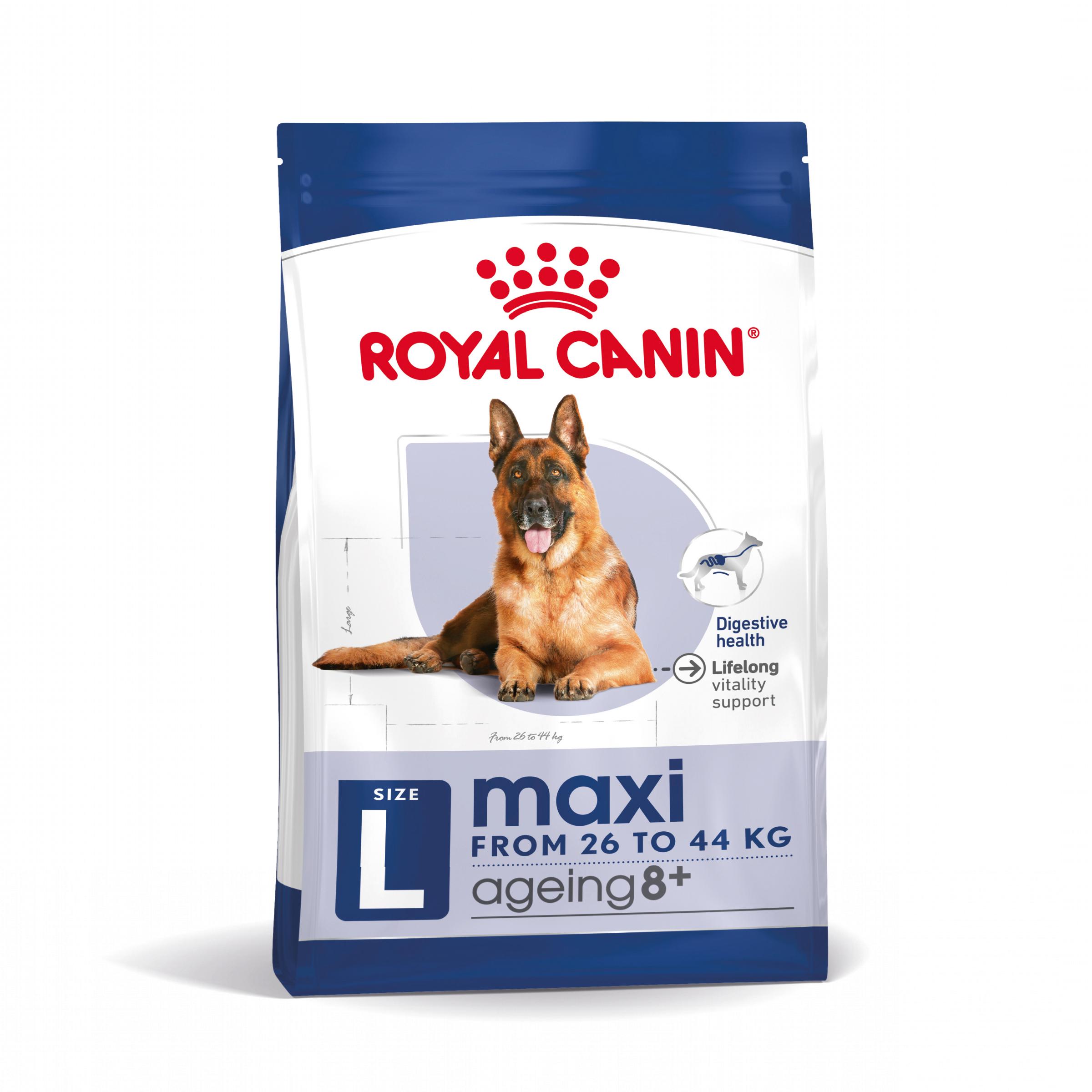 Miscota Royal Canin Maxi Ageing+8 Cibo per cani grandi anziani per cani anziani