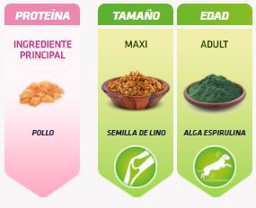 Trainer Natural Adult Maxi Poulet