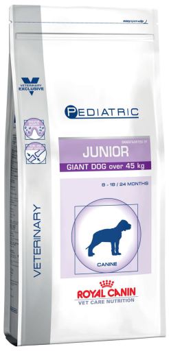 Pädiatrischer Junior-Riesenhund