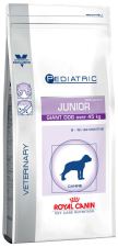 royal canin pediatric junior giant dog