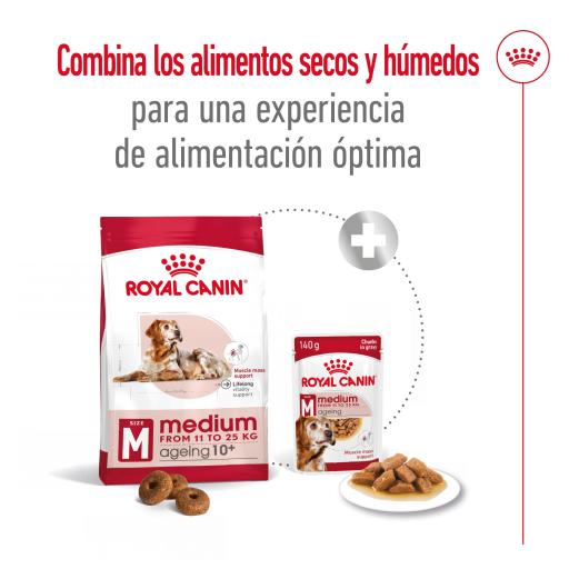 Royal Canin Medium Ageing 10 Miscota Philippines