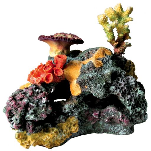 Barrera corales