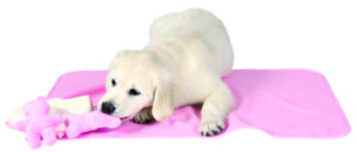 Trixie Welpenspielzeug: Decke mit 2 Spielzeugen und Handtuch, rosa