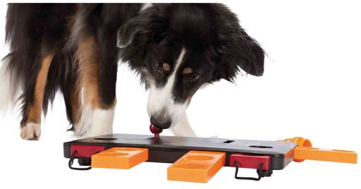 Trixie Dog Activity Mini Mover Level 3 - Miscota United States of America