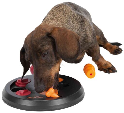 Trixie Dog Activity Flip & Fun Toy for Dogs