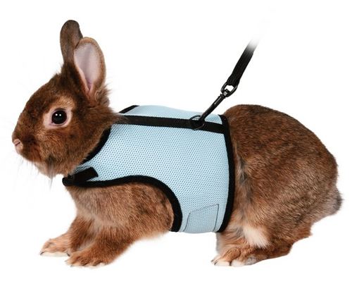 Nylon Harness Rodets and Rabbits, Fully Adjustable