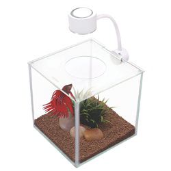Marina MARINA BETTA KITS CUBUS 3,4 l