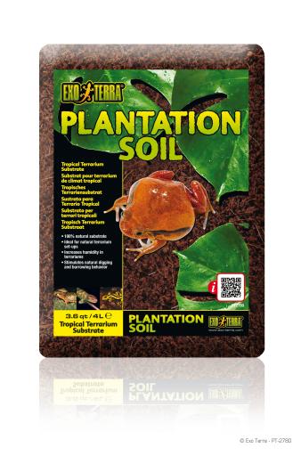 Plantation Soil for Terrarium